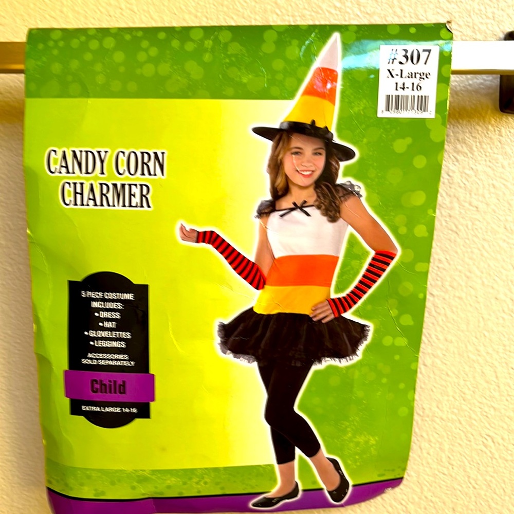 A girl Halloween costume, excellent condition